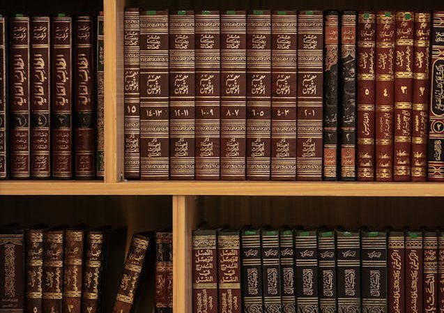 pexels-defrinomaasy-31679273 (1)